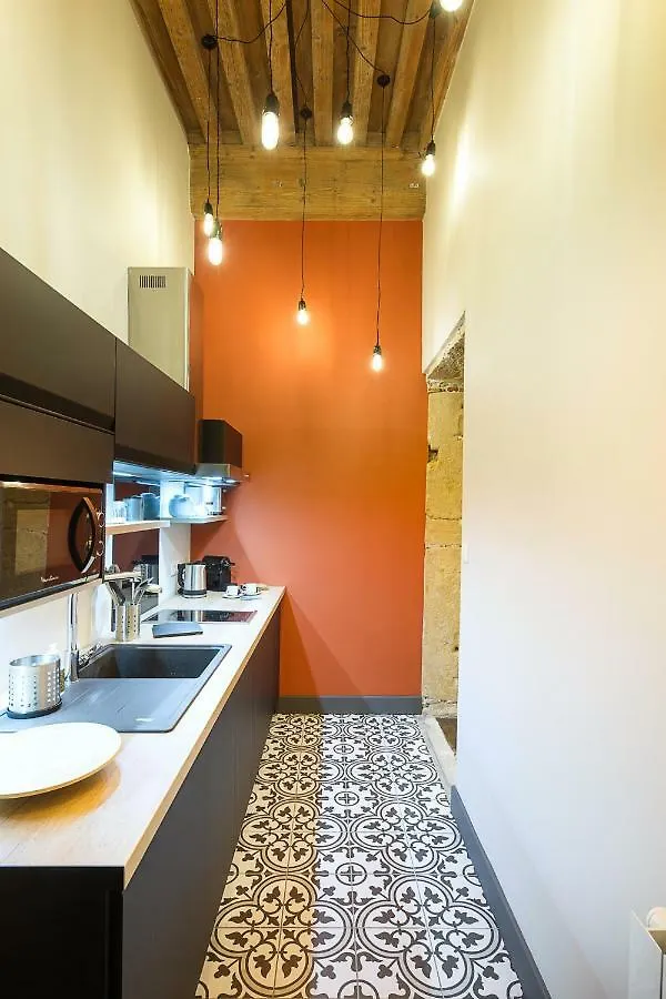 Concerto Duplex Lyon Apartment 0*,