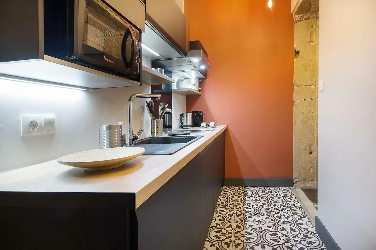 Concerto Duplex Lyon Apartment