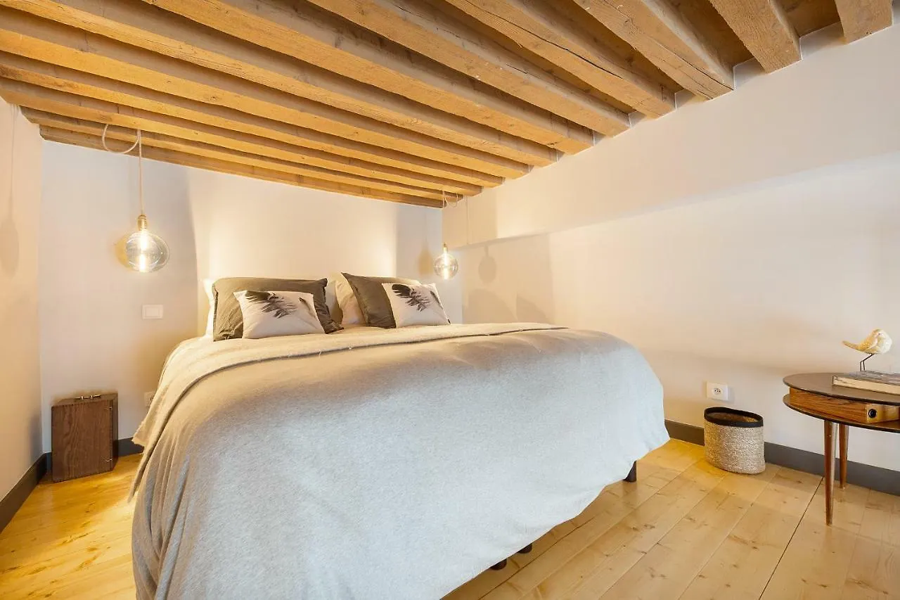 Concerto Duplex Lyon 아파트 프랑스